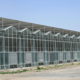 陽光板溫室與連棟薄膜溫室大棚的區(qū)別